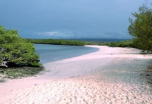 Imagen Playa Tortuga Bay